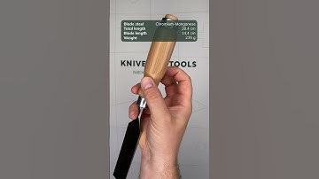 Narex Wood Line PROFI 810130, bevel edge chisel, 30 mm