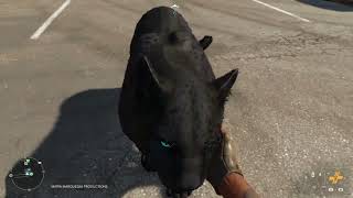 ALL AMIGOS Pet Animations on Far Cry 6