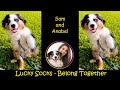 Lucky Socks Belong Together Sped Up Version And LYRICS With Sam Anabel Lucky Socks Belong Together Sped Up Version And LYRICS With Sam Anabel