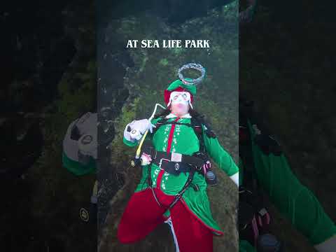 فردا اولین روزه بیایید عکس های تعطیلاتتون رو بگیرید ۲۹ ۳۰ نوامبر ۶ ۷ دسامبر ۱۳ ۱۴ دسامبر ۲۰ ۲۱ دسامبر