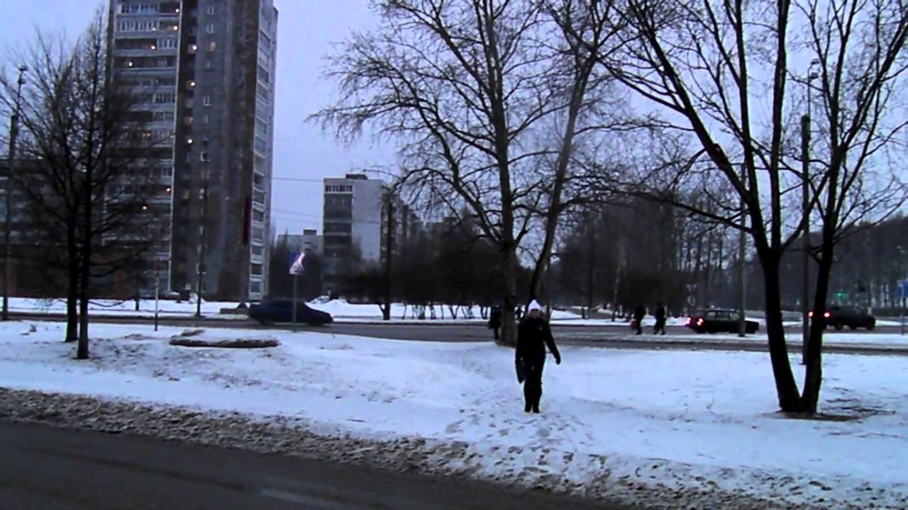Иномарка суздальский проспект