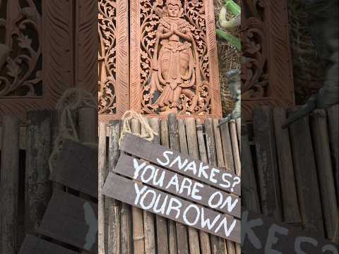 Adventureland Theme Birthday Party Set Up The Indiana Jones Area Pt1 #indianajones #partyprops