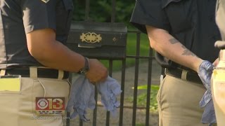 Clues Sought After Woman Is Fatally Stabbed While Walking Dogs