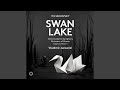 Miniature de la vidéo de la chanson Swan Lake, Op. 20, Th 12, Act Iii (1877 Version): No. 19E, Pas De Six. Var. 4, Allegro