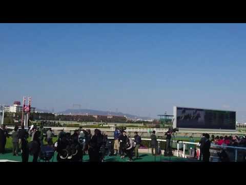 第61回大阪杯(GI)生ファンファーレ