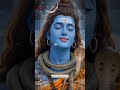 शिव ही सत्य है | Mahadev status | Bholenath #bholenath #mahadev #shorts #1shivbhaktt