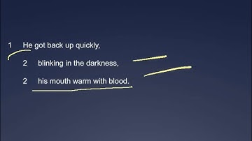 Writing Whatever - The numbering system