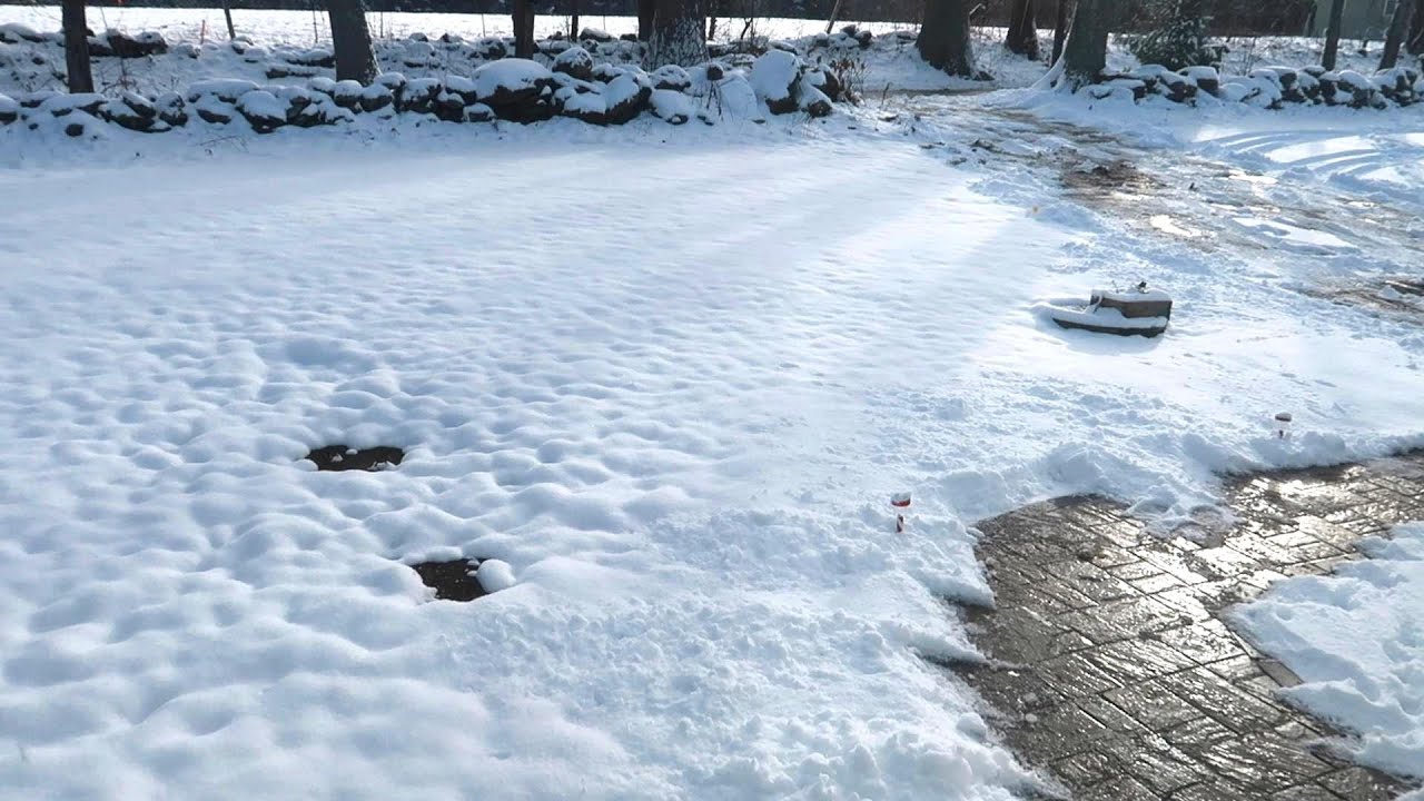 Our First Snow of The Year! - YouTube