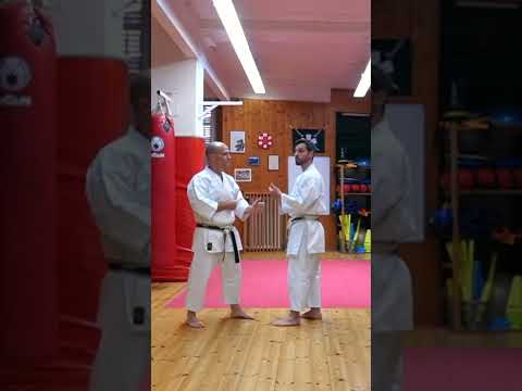 Video: Il karate è nato?