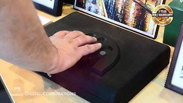 GunVault - Features - Combination Options