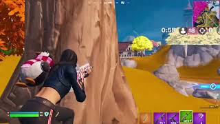 #fortnite Solo Shambles (TikTok VOD 12/7)