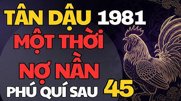 Tử Vi Tân Dậu 1981– Một Thời Nợ Nần, Sau Tuổi 45 Giàu Sang Phú Quý