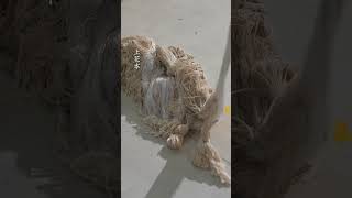 Royal Ancient Craftmaking Precious Yunjin With Blue Peacock Feathers