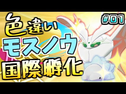 剣盾 色違いモスノウ国際孵化 01 ポケットモンスター ソード シールド Youtube