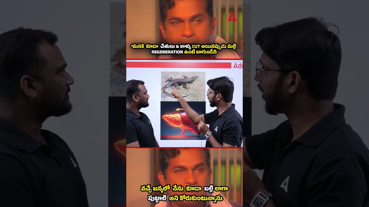 బల్లి తోక తెగిపోయి తిరిగి ఏర్పడటాన్ని  ఏమంటారో తెలుసా🫵 #adda247telugu