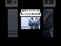 【実話】違法にライオンを飼っていた男の末路がヤバすぎた‥#ライオン ＃動物#事件