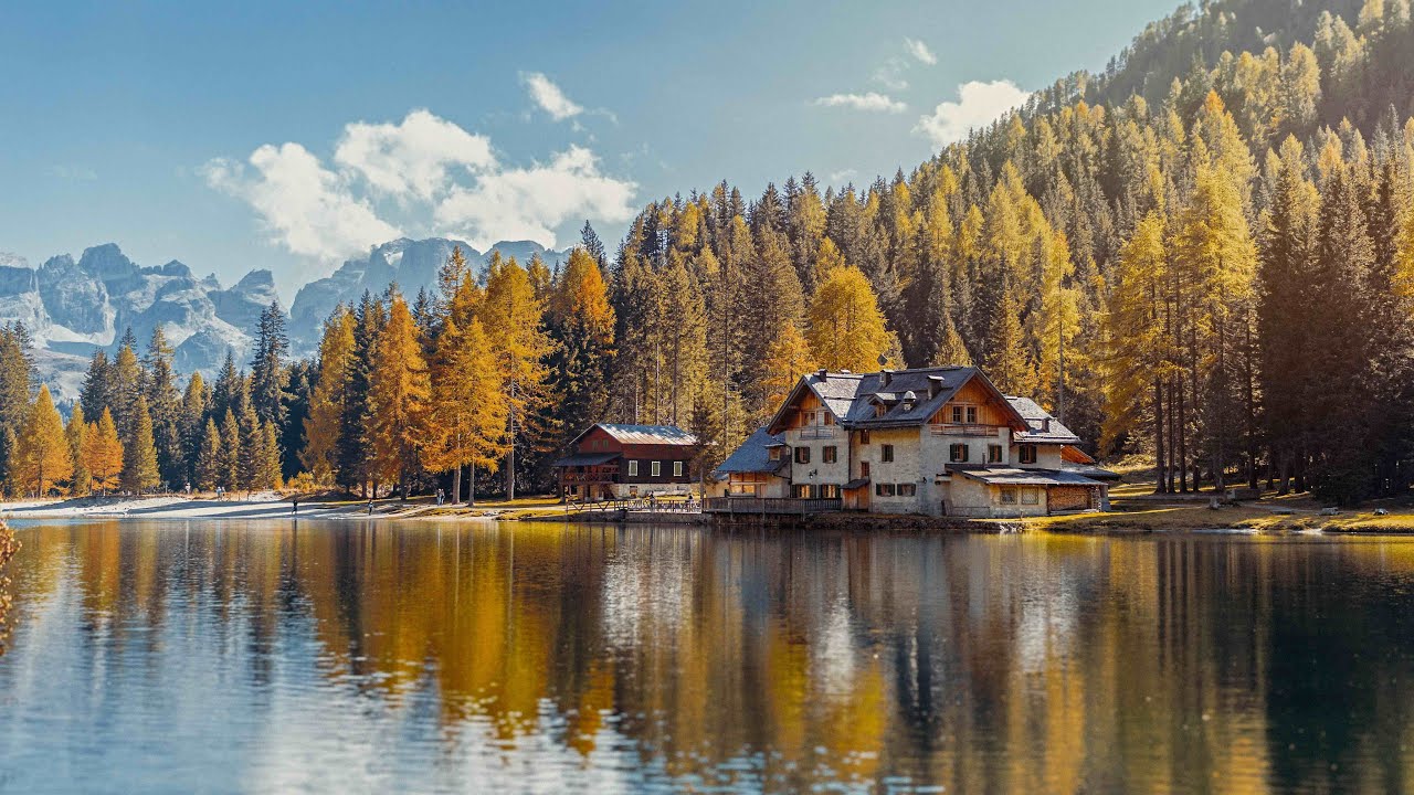 🎵 Elegy for a Dream - FreeVibeVault | Sad Classical [No Copyright Music]