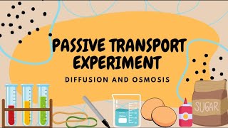 Transport Mechanism - Passive Transport Experiment Diffusion Osmosis GENBIO 2
