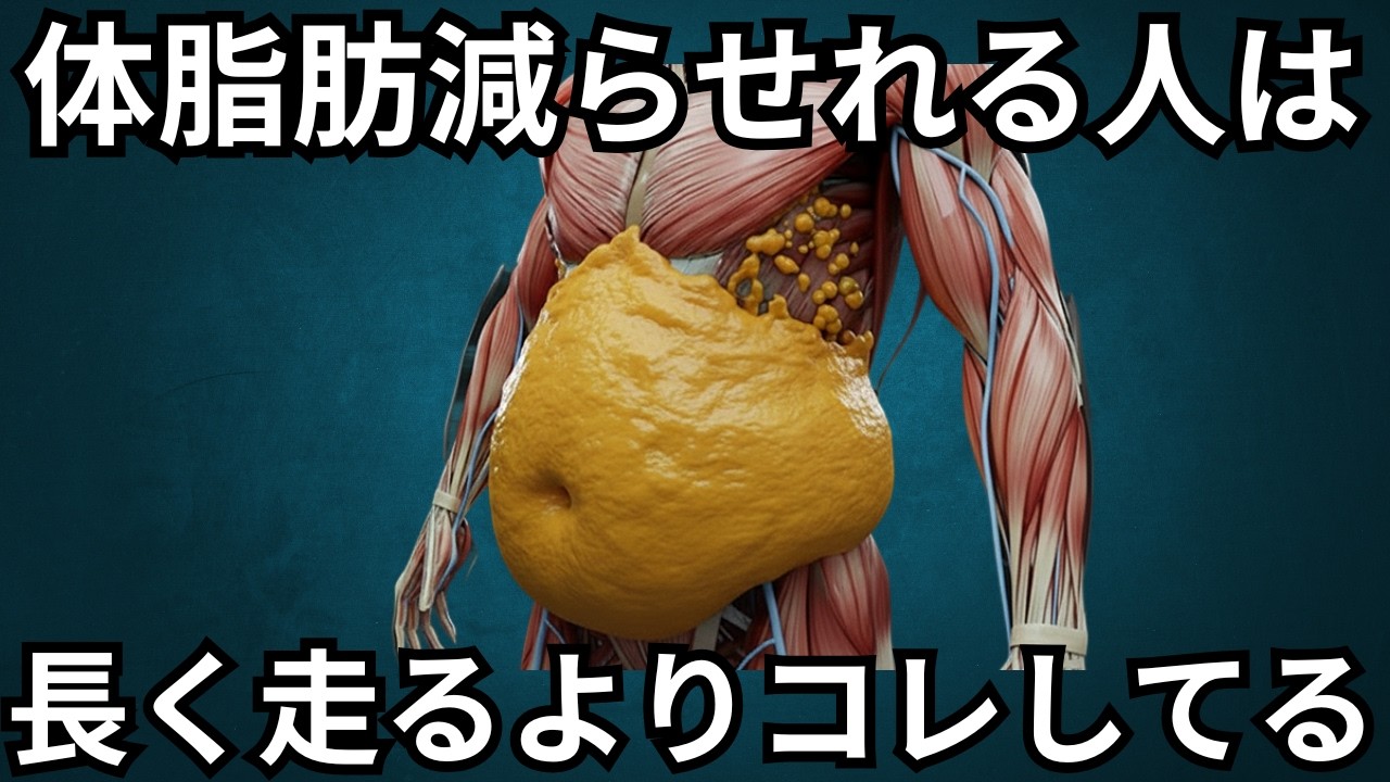 【ランニングより絶対コレ】40代から体脂肪を落とす科学的7ステップ｜内臓脂肪を効率よく燃焼させて体重を落とす痩せるダイエット方法をメタボ改善のプロが解説