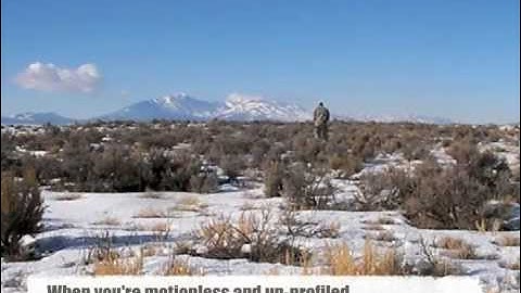 ACU Camo Test:  Western US