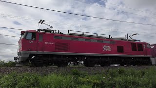 レッドサンダーEF510-6牽引高速貨物【4K】4095レ名古屋→米原→新潟
