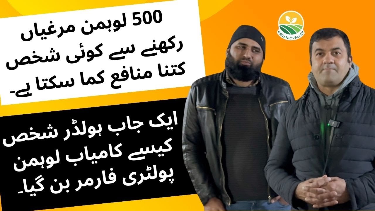 Job Holder Person Become Successful Farmer - How Much Profit a Person can earn 500 from Lohmann Hens