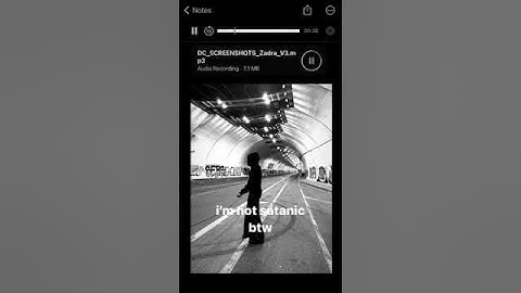 DC The Don -  Screenshots (Snippet)