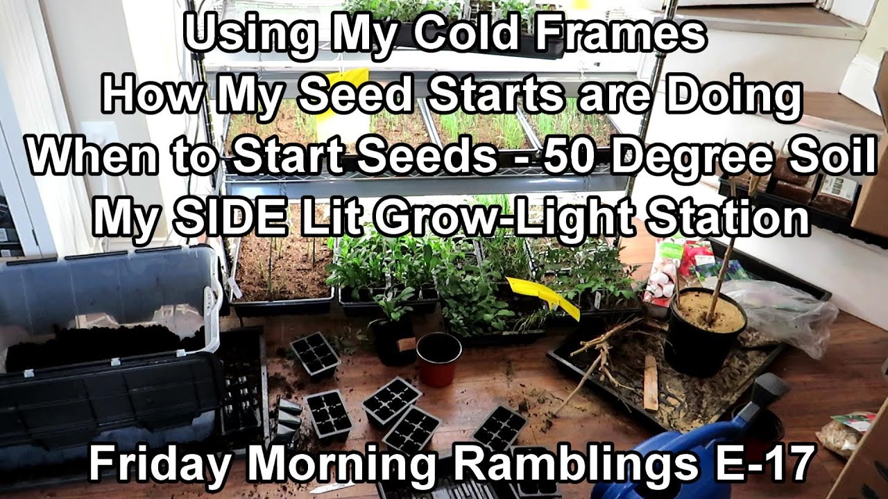 Using My Cold Frames, What I Started, Method Behind My Madness,  Updates: FM Garden Ramblings  E-17
