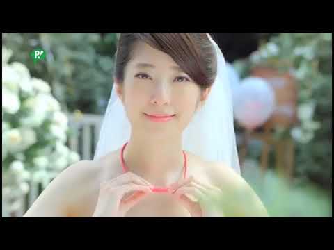 2017年台湾 CM ピップマグネループ