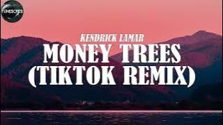 No way tiktok viral song|Money trees (TikTok Remix) - Kendrick Lamar NO WAY!