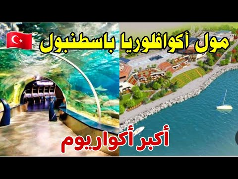 أجمل مولات اسطنبول مول أكوا فلوريا أكبر أكواريوم إطلالة ساحرة على البحر كيفية الوصول إليه