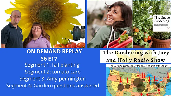 audio S6E17, fall planting , tomato care, guest Am...