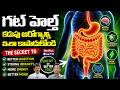Gut Health Importance: మీ కడుపు ఆరోగ్యాన్ని ఇలా కాపాడుకోండి | Dr.G.Satyanarayana @MedPlusONETV 