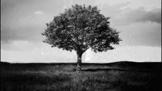 George Michael - Patience - The Unofficial Video