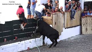 Tourada à corda no Raminho, 3 de setembro de 2026