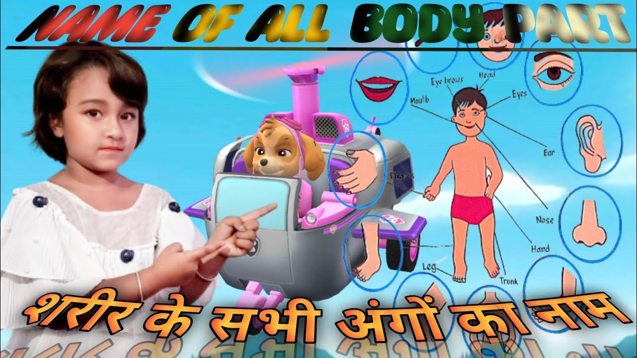 Learn Body Part Song Kids Vocabulary body Learn Part Of Body Name Learn Body Part Song Kids Vocabulary body Learn Part Of Body Name