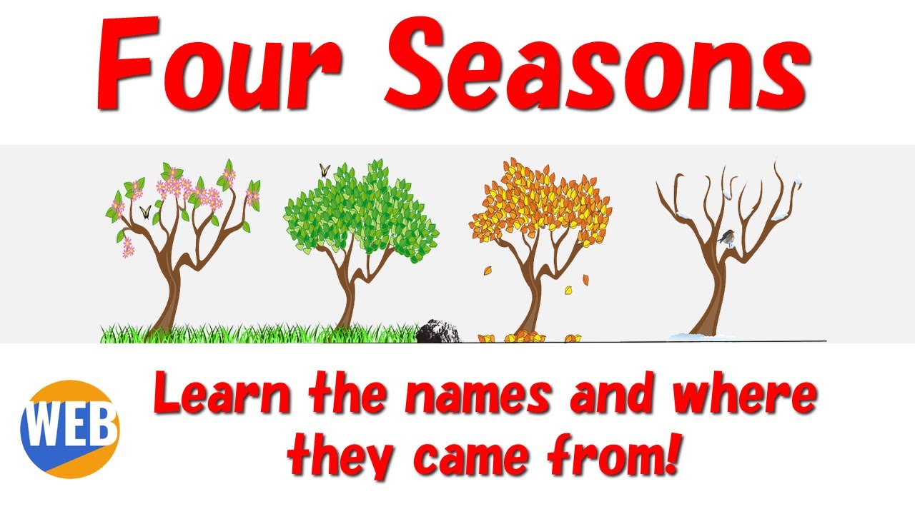 красивые имена для единорогов. 4 names. How many oceans in the world. Four names. The name july.