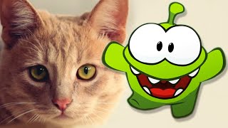 Om Nom Stories - Om Nom and Cat | Season 1 | Learn with Om Nom