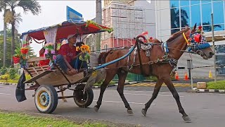 riding a special delman~popular Indonesian children's song~toddler song~riding horse