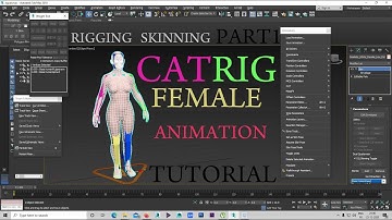 3DS MAX CAT RIG FEMALE COMPLETE TUTORIAL PART1