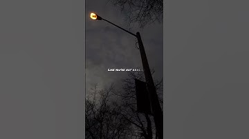 Thumbnail of Numb Little Bug🐞 #lyrics #aestheic #musiclyrics #songlyrics #music #aesthetic #lyricvideo #song