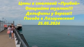 Цены в столовой 'Прибой'! Дельфины у берега! Погода в Лазаревском 25.05.24.🌴ЛАЗАРЕВСКОЕ СЕГОДНЯ🌴СОЧИ