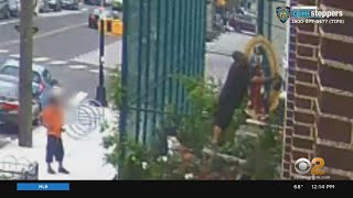 Man Topples Statue Outside Brooklyn Church In Broad Daylight