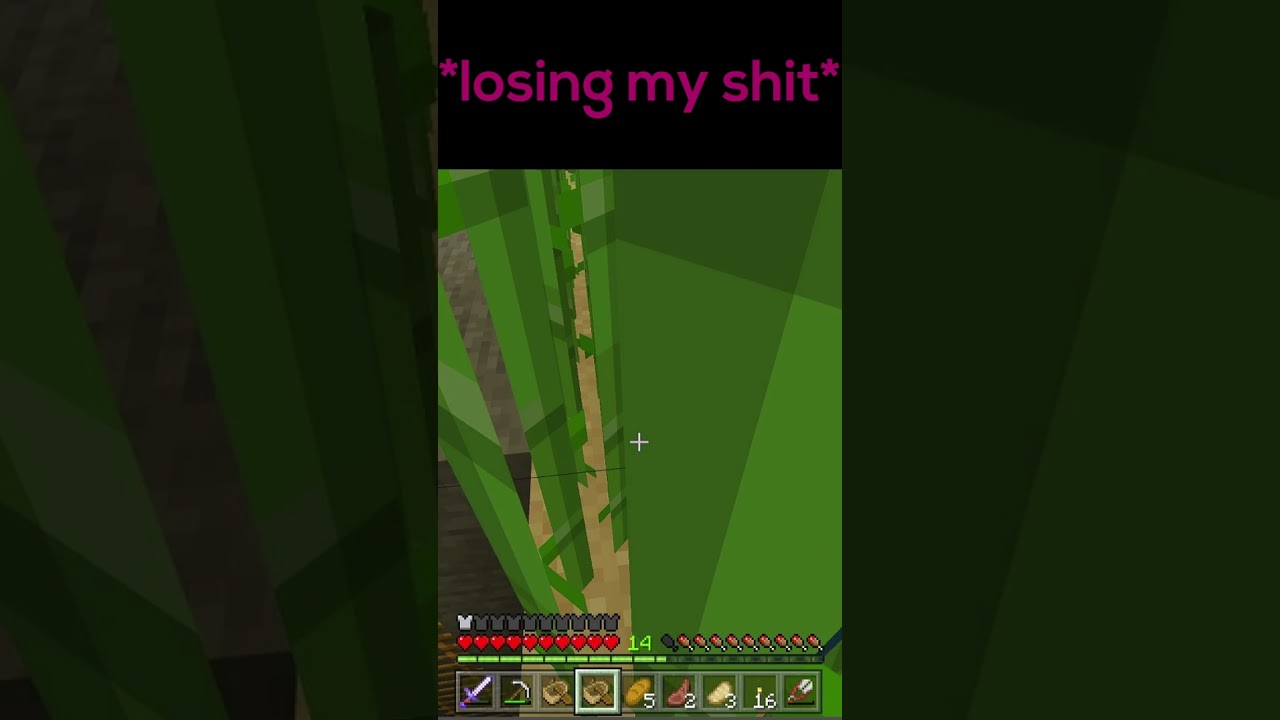 There He Goes #gaming #funny #minecraft