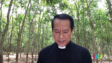 LHS Thứ Bảy Tuần IV MC : PHIÊN TÒA MỜ ÁM - Linh Mục Giuse Nguyễn Duy Tân, Giáo phận Xuân Lộc