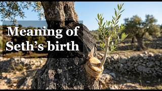 Meaning of Biblical names: Seth