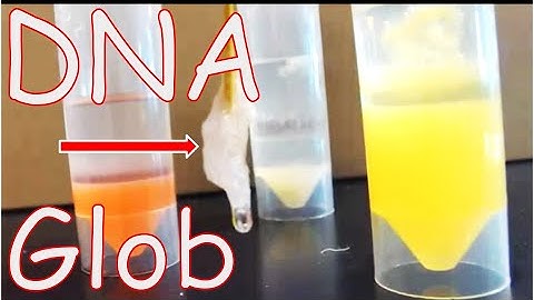 How to Extract DNA From Fruit