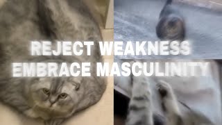 Reject Weakness, Embrace Masculinity