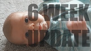 6 WEEKS POSTPARTUM AND BABY UPDATE
