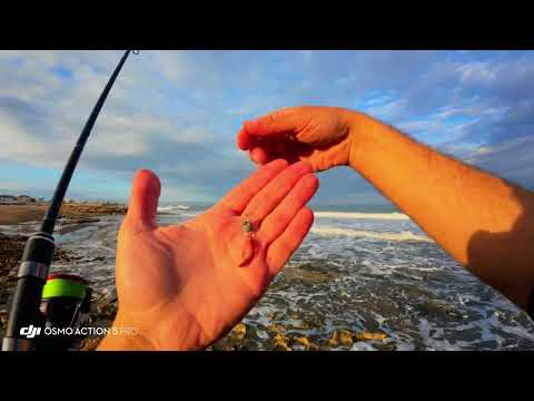 דייג 2025 משקולת 4 גרם קרס מספר 4 תולעי סיליקון Berkeley gulp ים עובד המון מצב רוח וכמובן דגים